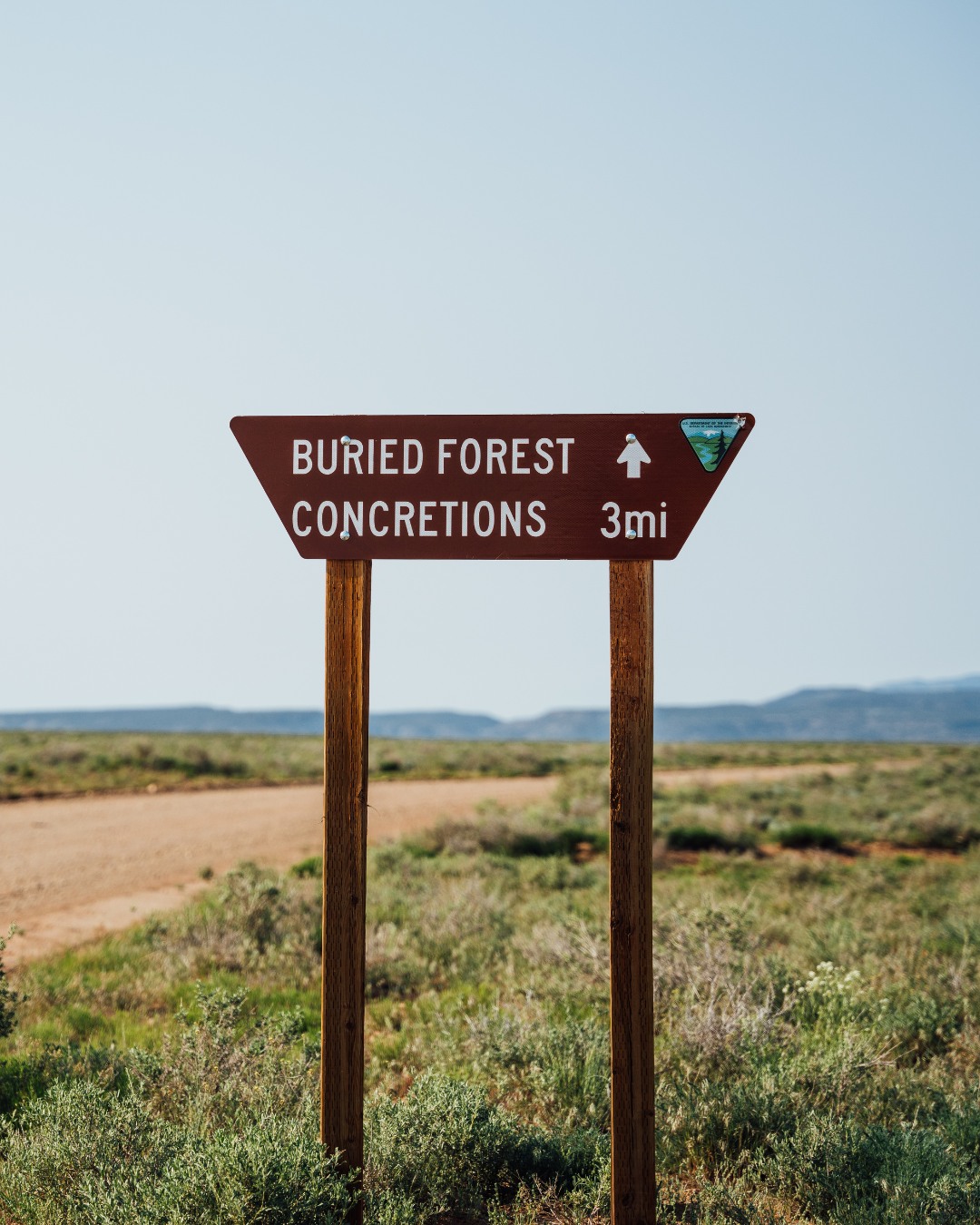 Buried Forest Concretions Trail