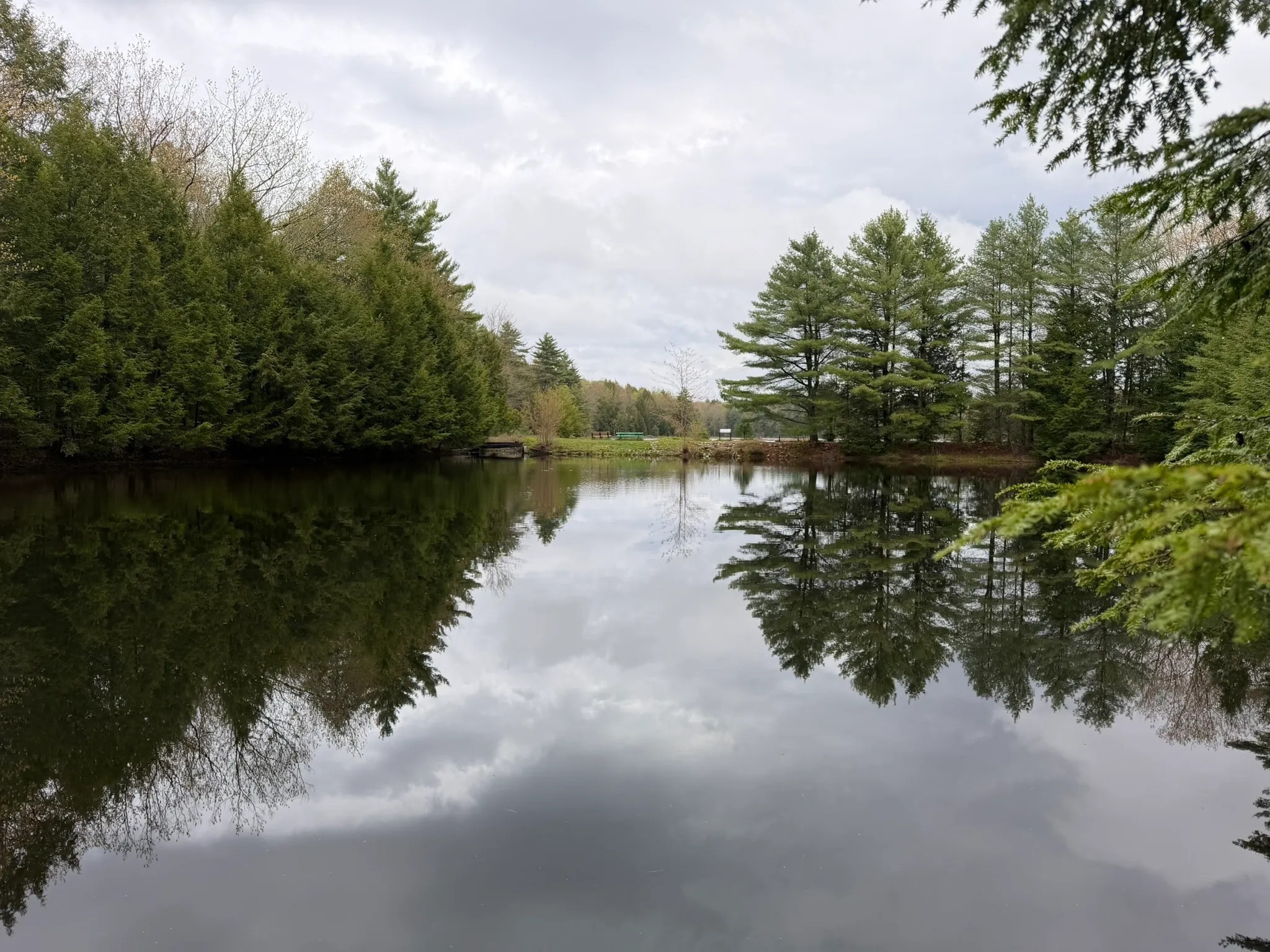Knight Ideal Pond