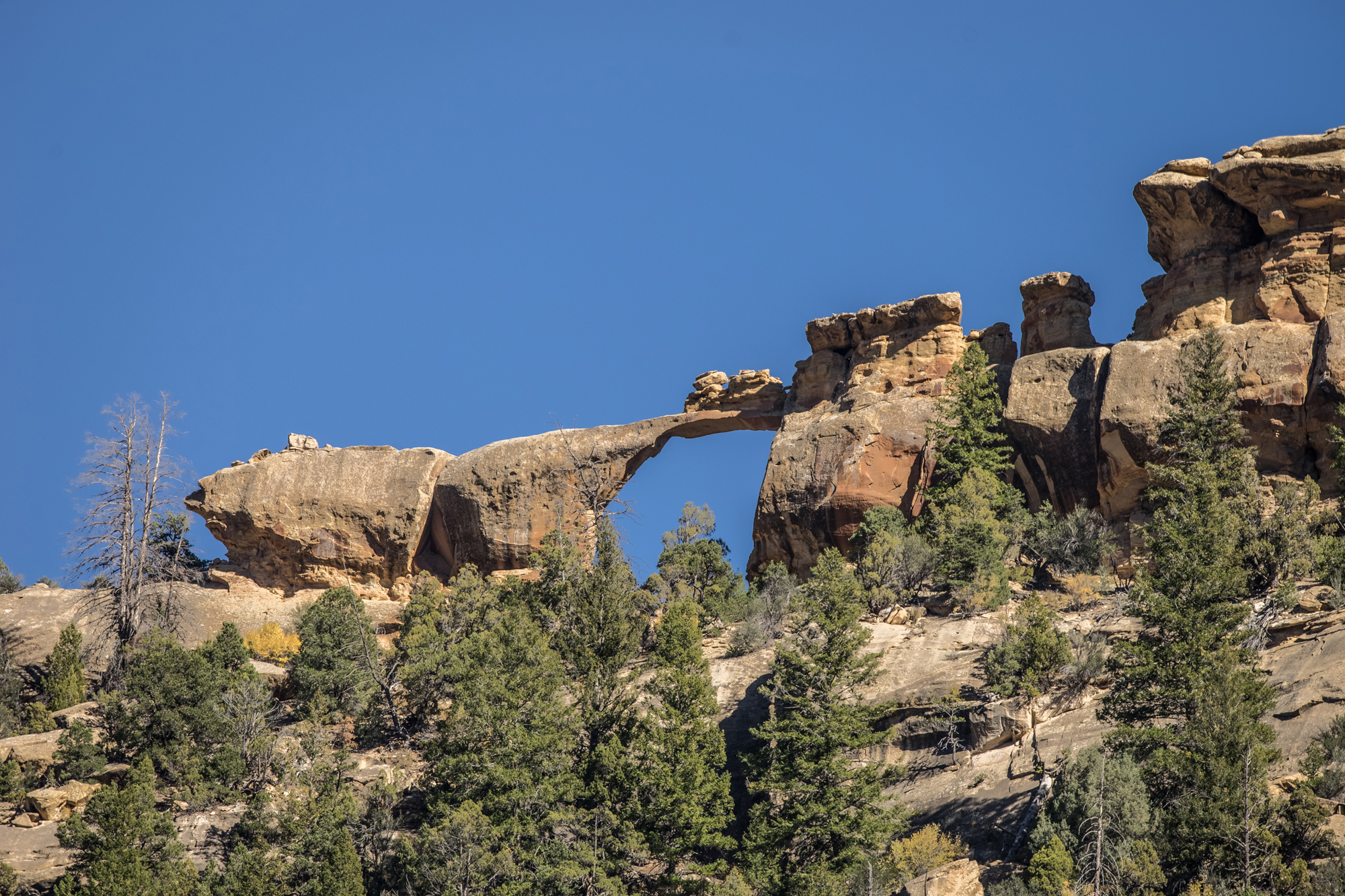 Range Creek Canyon
